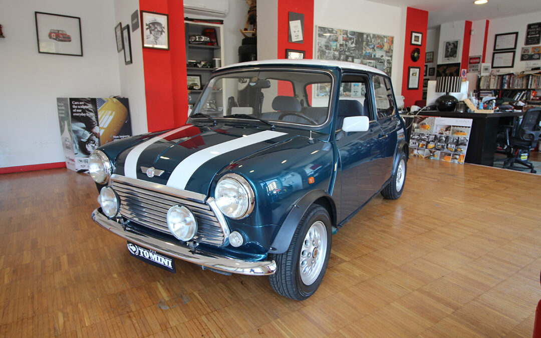 MINI 1300 CARIBBEAN CARBURATORE cat (1993)